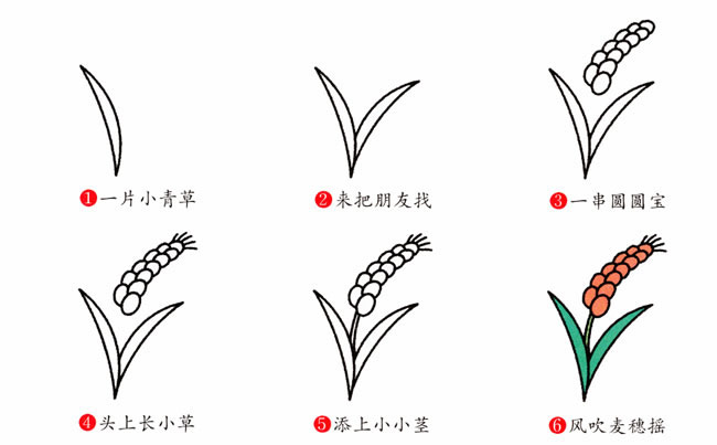 帶顏色的麥穗簡筆畫教程