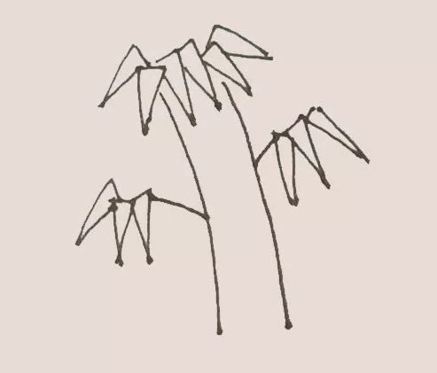 綠色的竹子簡筆畫