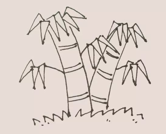 綠色的竹子簡筆畫