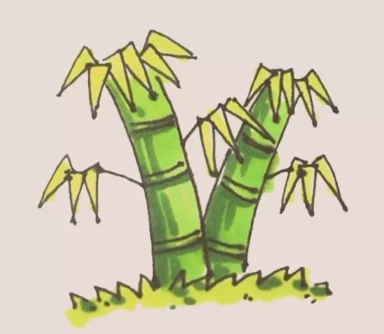 綠色的竹子簡筆畫