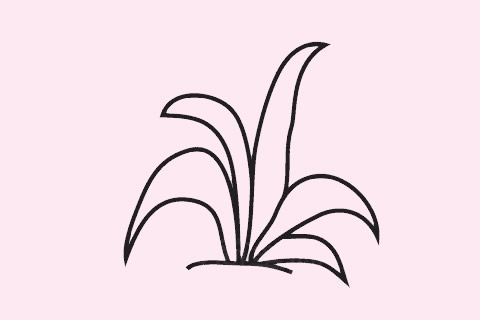 幾幅簡單的草叢簡筆畫