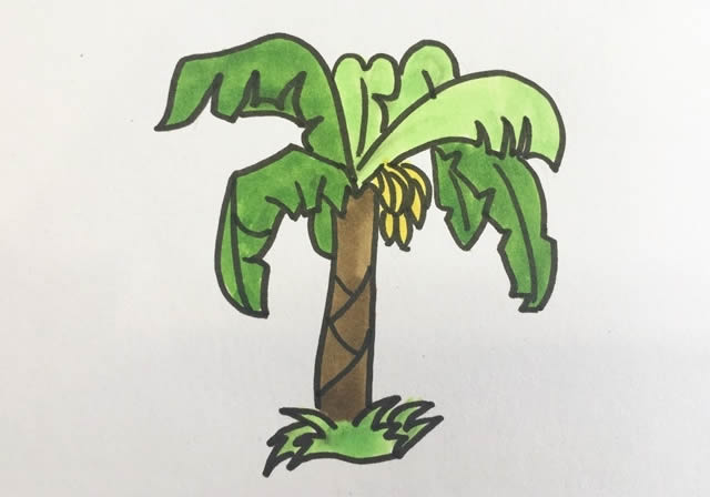 香蕉樹簡筆畫簡單畫法