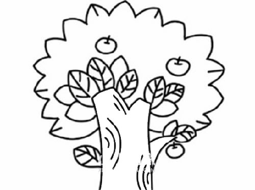 蘋果樹簡筆畫畫法
