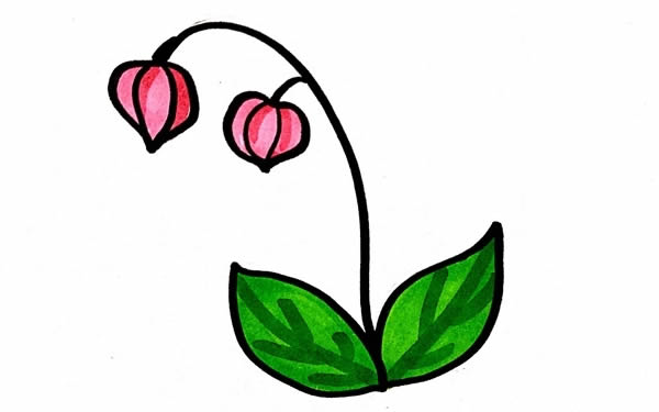 燈籠草簡筆畫步驟