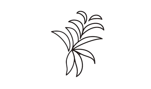 彩色的吊蘭簡筆畫 彩色的吊蘭簡筆畫