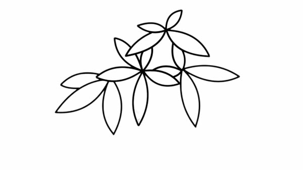 發(fā)財樹盆栽簡筆畫