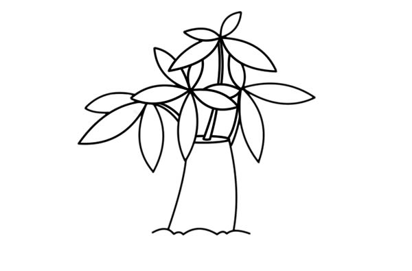 發(fā)財樹盆栽簡筆畫