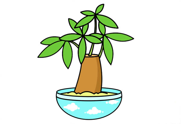 發(fā)財樹盆栽簡筆畫