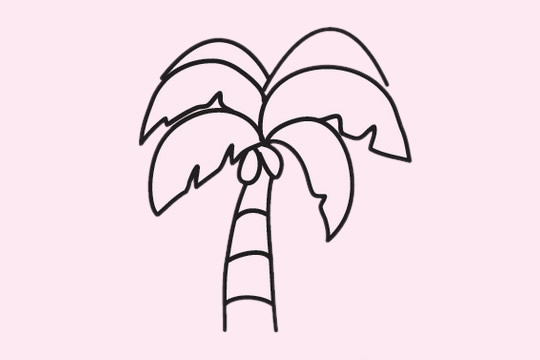 非常簡(jiǎn)單的椰樹簡(jiǎn)筆畫