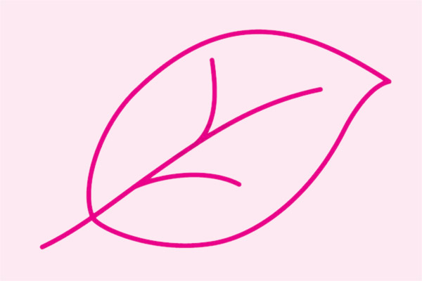 關(guān)于樹葉的簡(jiǎn)筆畫