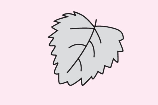 關(guān)于樹葉的簡(jiǎn)筆畫