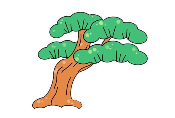 彩色松樹簡筆畫的畫法