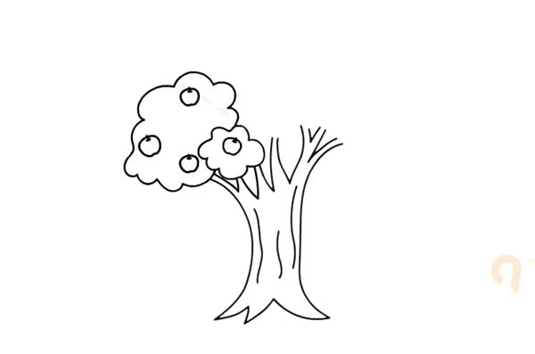 結(jié)滿果子的蘋果樹簡(jiǎn)筆畫