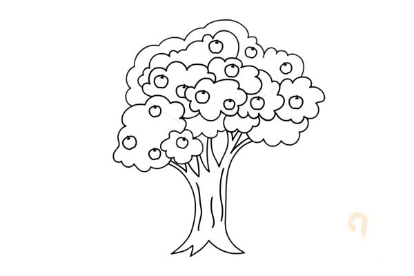 結(jié)滿果子的蘋果樹簡(jiǎn)筆畫