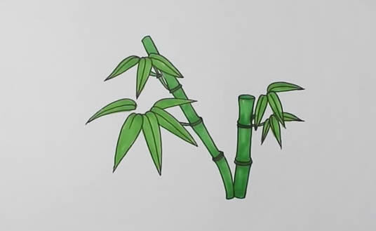 漂亮的竹子簡筆畫