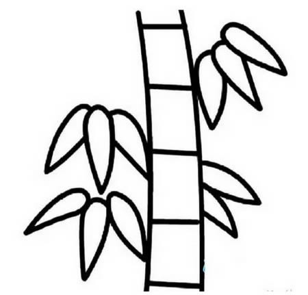 分享一些花草和樹木簡筆畫