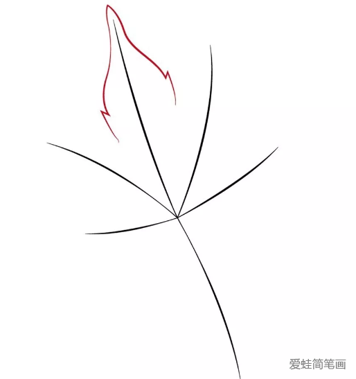 秋天的樹葉也很漂亮哦