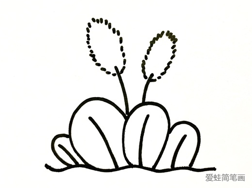 狗尾巴草怎么畫