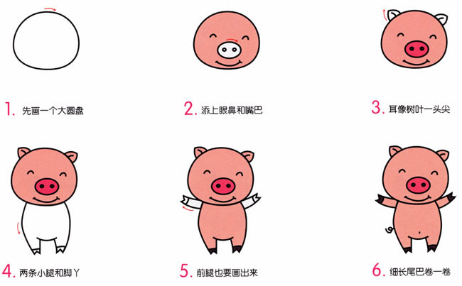 涂色的卡通小豬簡筆畫步驟