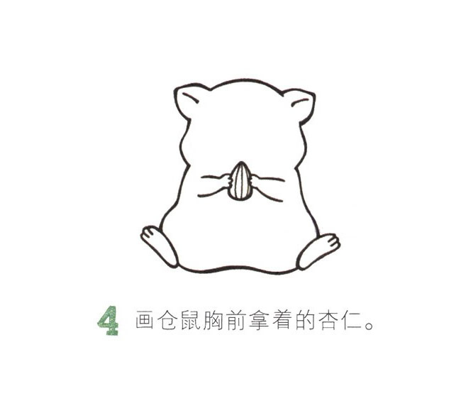 可愛的彩色倉鼠簡筆畫教程