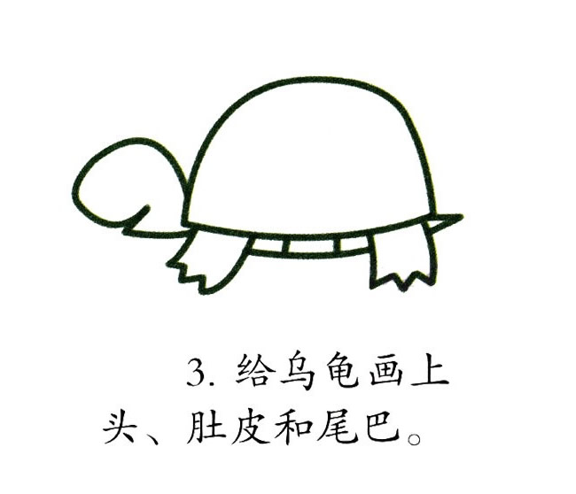 五顏六色的烏龜簡筆畫