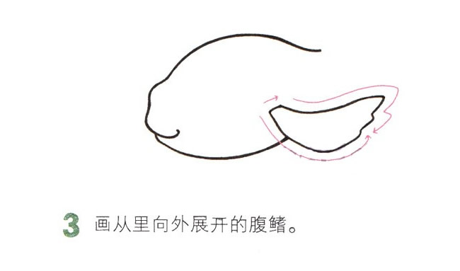 吐泡泡的金魚簡筆畫