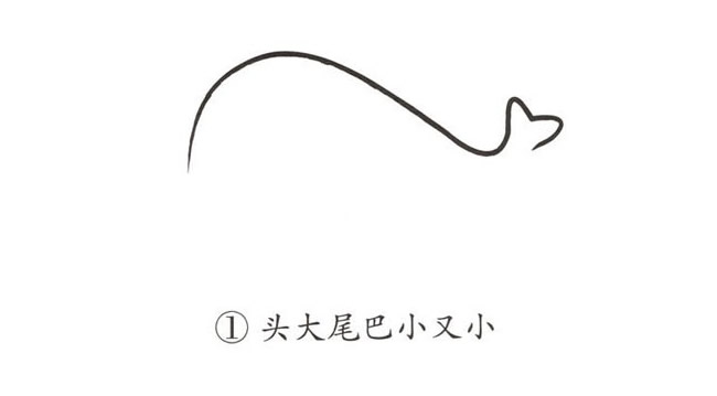簡單抽象的鯨魚簡筆畫