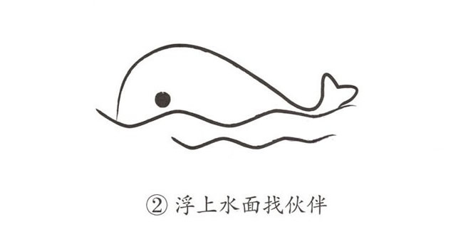 簡單抽象的鯨魚簡筆畫