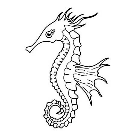 四款關(guān)于海馬的簡(jiǎn)筆畫