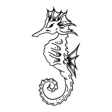 四款關(guān)于海馬的簡(jiǎn)筆畫