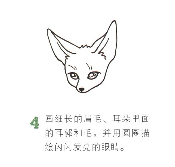 帶顏色的狐貍簡筆畫