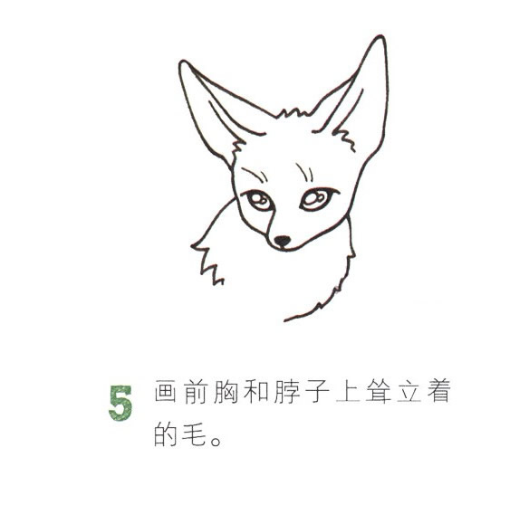 帶顏色的狐貍簡筆畫