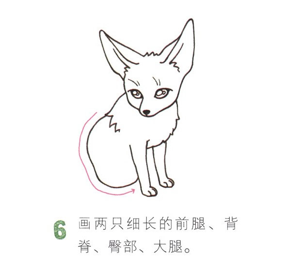 帶顏色的狐貍簡筆畫