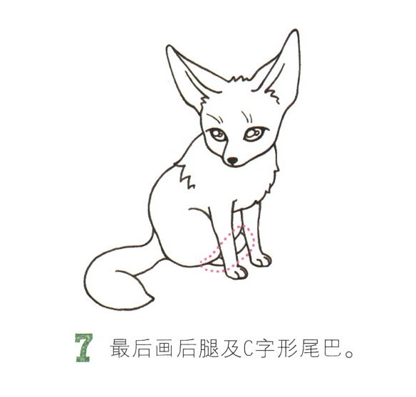 帶顏色的狐貍簡筆畫