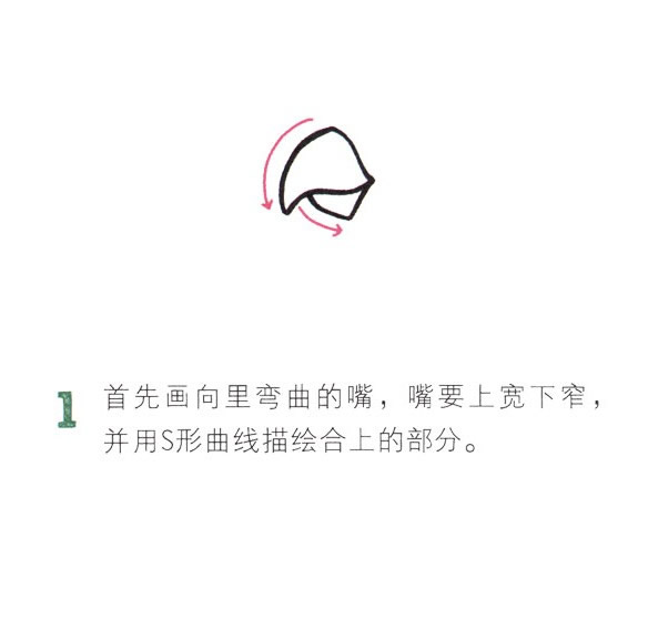 彩色漂亮的鸚鵡簡筆畫教程