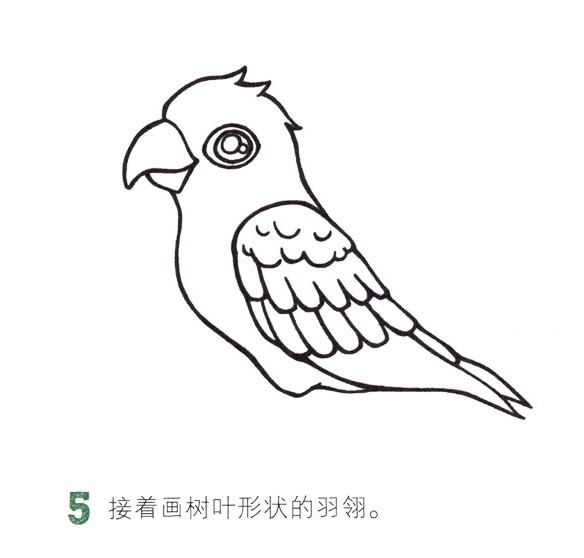 彩色漂亮的鸚鵡簡筆畫教程