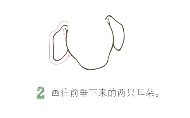 超級可愛的小狗簡筆畫教程