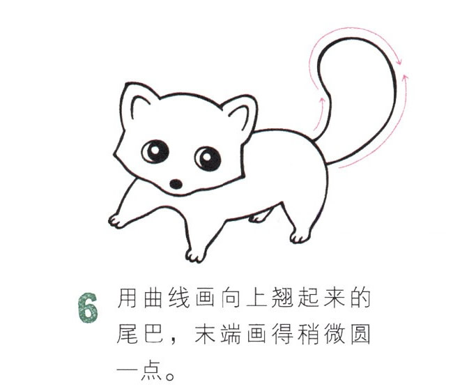 可愛的彩色小浣熊簡筆畫
