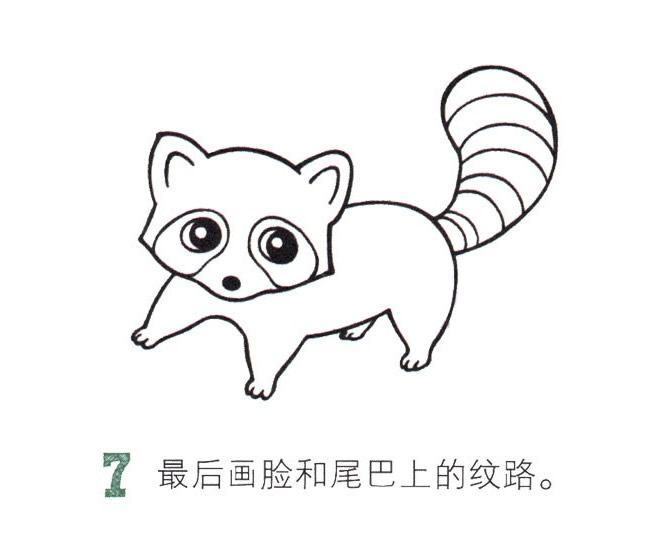 可愛的彩色小浣熊簡筆畫