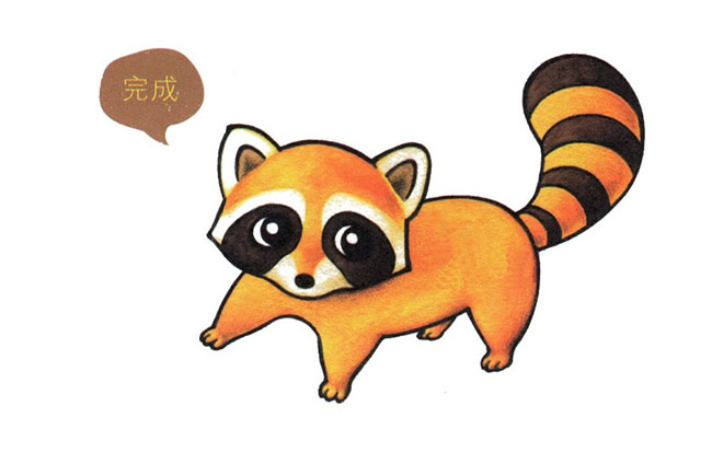可愛的彩色小浣熊簡筆畫
