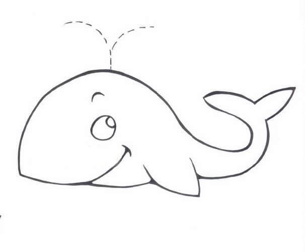 9款鯨魚簡筆畫大全