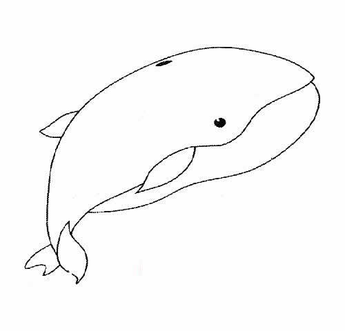 9款鯨魚簡筆畫大全