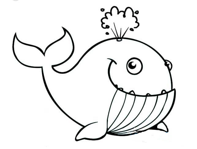 9款鯨魚簡筆畫大全