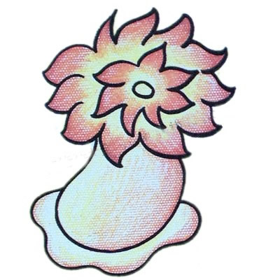 涂色的海葵簡筆畫步驟教程