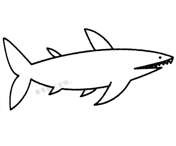 13款關于鯊魚的簡筆畫大全