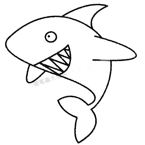 13款關于鯊魚的簡筆畫大全