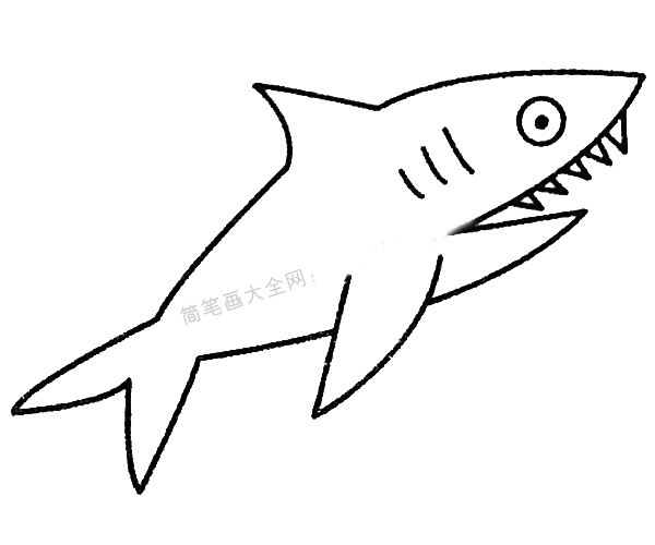 13款關于鯊魚的簡筆畫大全