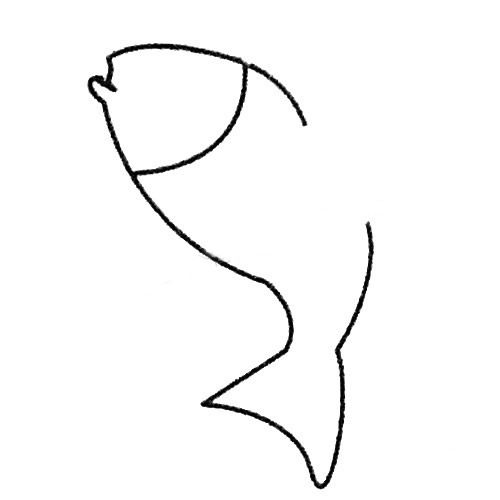 簡單的飛魚怎么畫