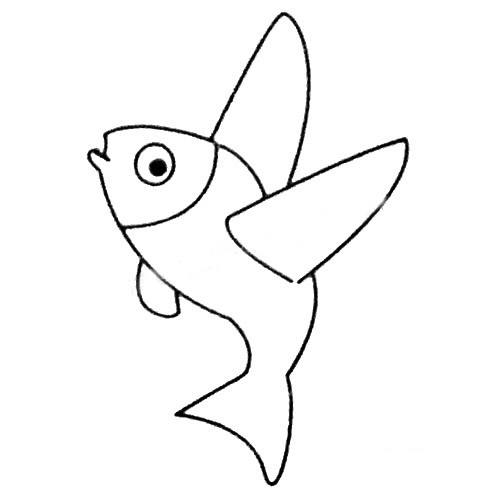 簡單的飛魚怎么畫