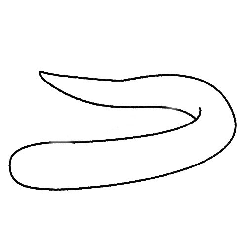 電鰻怎么畫 電鰻簡(jiǎn)筆畫步驟 電鰻怎么畫 電鰻簡(jiǎn)筆畫步驟